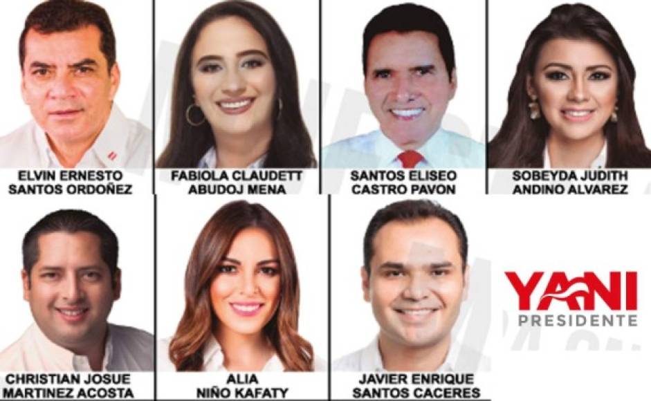 Elvin Santos encabeza la lista de los precandidatos a diputados por Francisco Morazán por el movimiento Liberal Yanista del precandidato Yani Rosenthal Oliva.