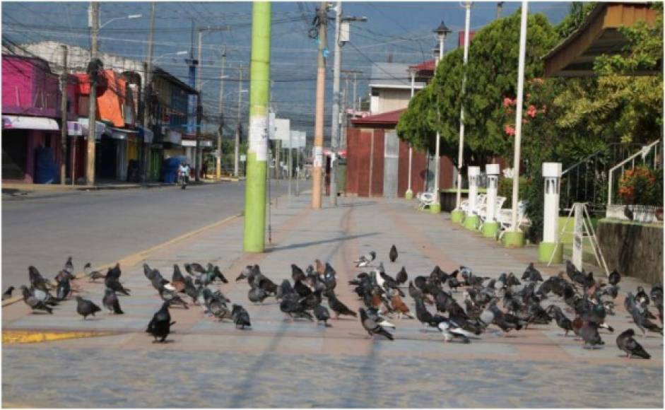 Esta hermosa imagen fue captada por las cámaras de Diario LA PRENSA en la ciudad de El Progreso.