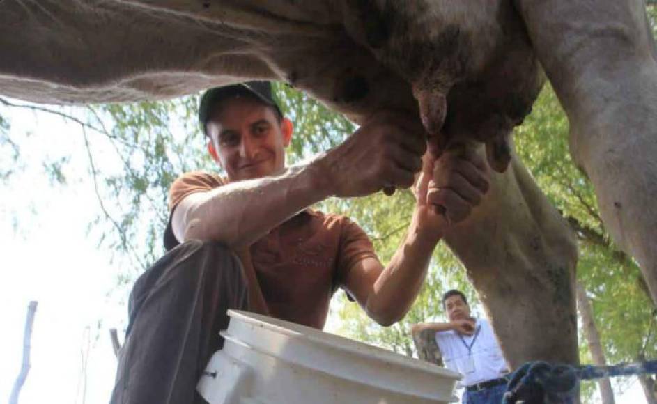 Óliver Morazán: El mediocampista hondureño en su tiempo libre se dedica a la ganadería.