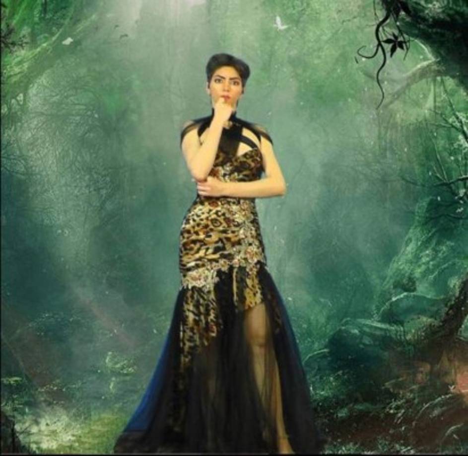 El padre de Nasim, Ismail Aghdam, dijo que su hija se había enfadado con YouTube porque la compañía había dejado de pagarle por su contenido en línea.