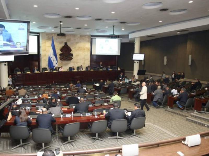 Argumento. Ahora por la crisis electoral no han vuelto a sesionar.