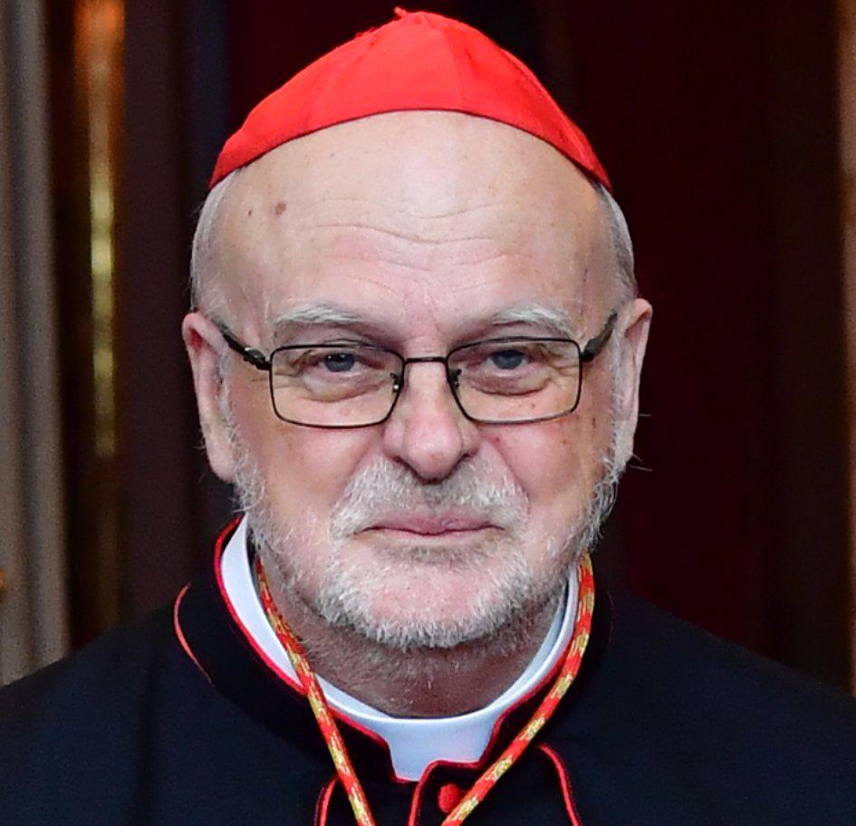 Anders Arborelius, el cardenal sueco que podría sorprender en el cónclave