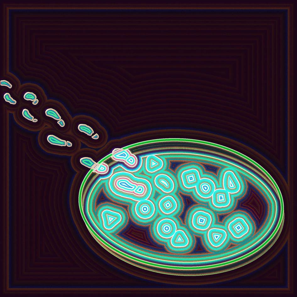 Nuevo virus enciende alarmas de amenaza pandémica