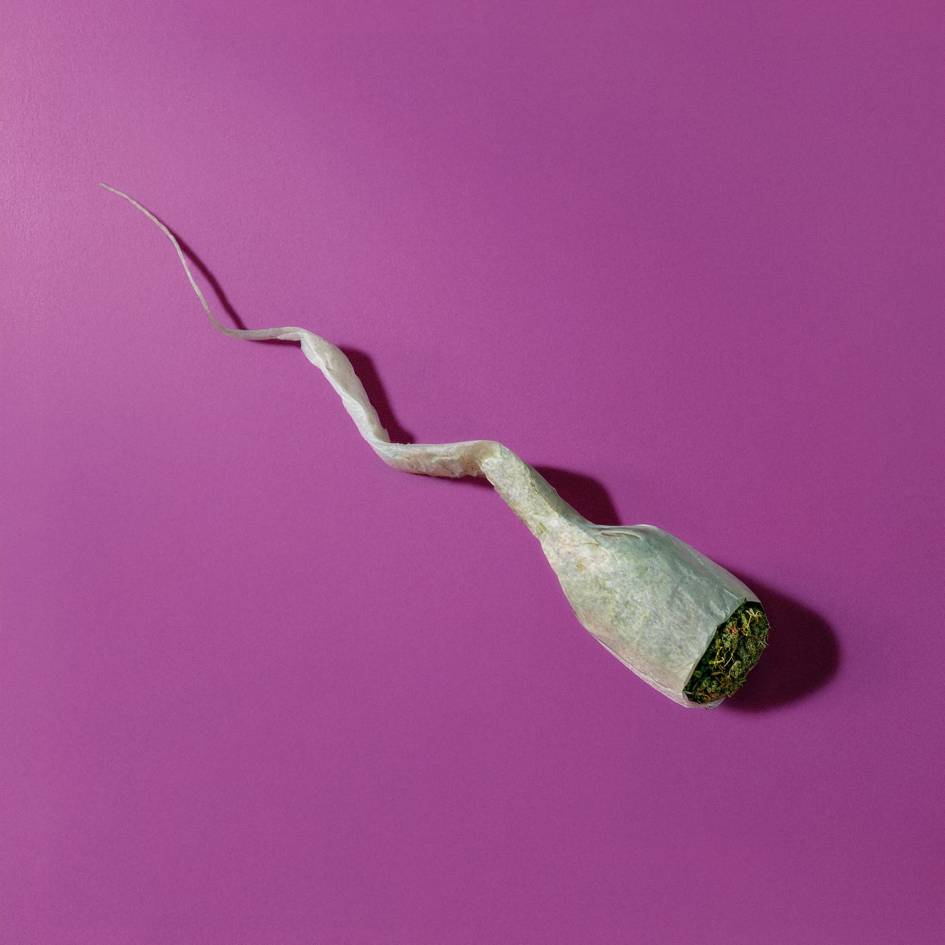 Alertan que la marihuana podría afectar el esperma y reducir la fertilidad