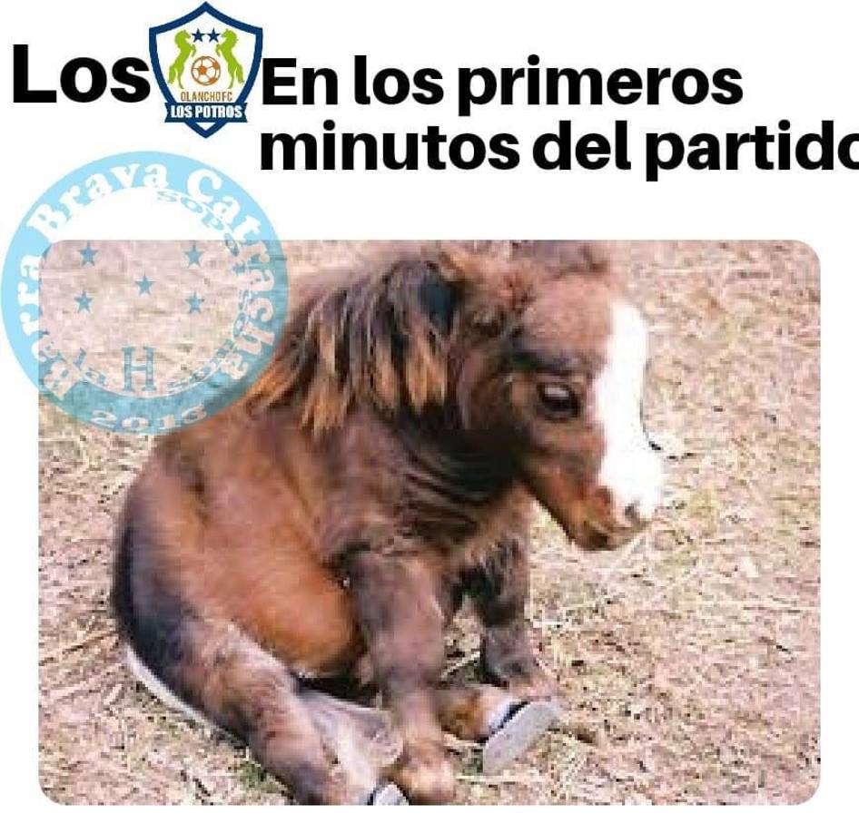 Los divertidos memes que dejó la gran final entre Olimpia-Olancho FC