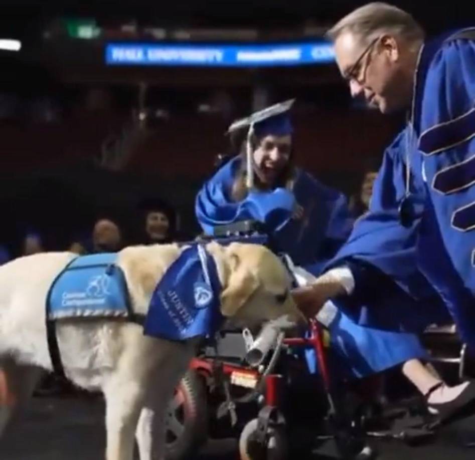Cabe mencionar que, en el video viralizado en las redes sociales muchos internautas han aplaudido sobre todo la fidelidad del perrito.