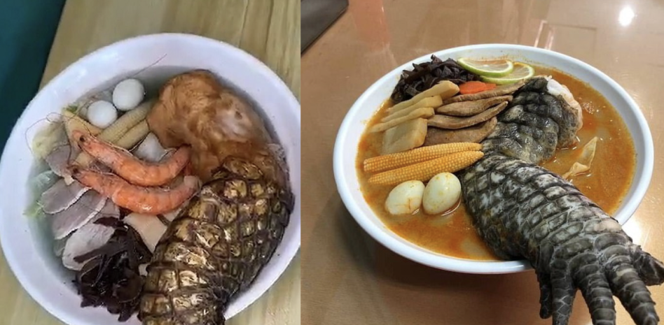 ”Godzilla ramen”, un plato con pata de cocodrilo muy apetecido en Taiwán