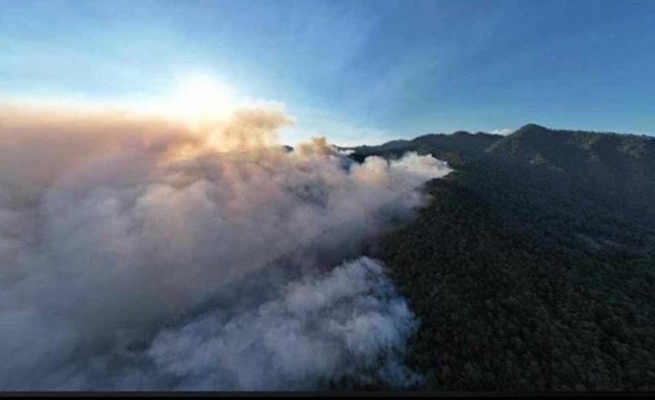 El municipio de San Manuel de Colohete, ante la situación, se declaró en Estado de Emergencia y pide a su población unirse a las acciones.