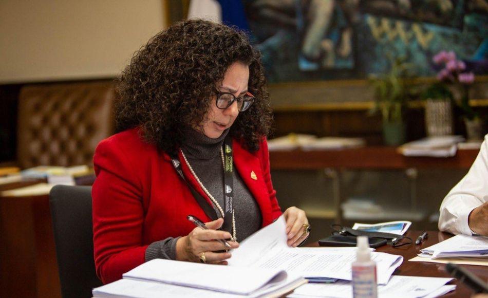 Ligia Ramos presenta ante CN reformas a decreto de amnistía política