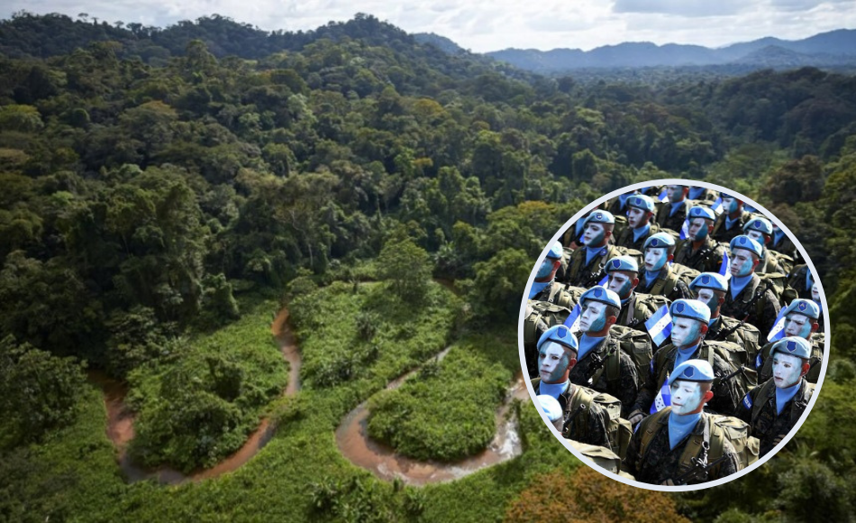 Gobierno movilizará 2,000 efectivos de las FFAA para protección de bosques y ríos