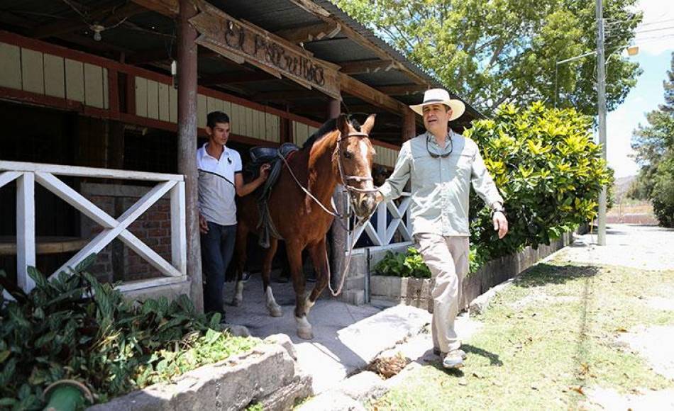 La afición de Juan Orlando Hernández por sus caballos pura sangre, a punto de cambiar de dueños (FOTOS)