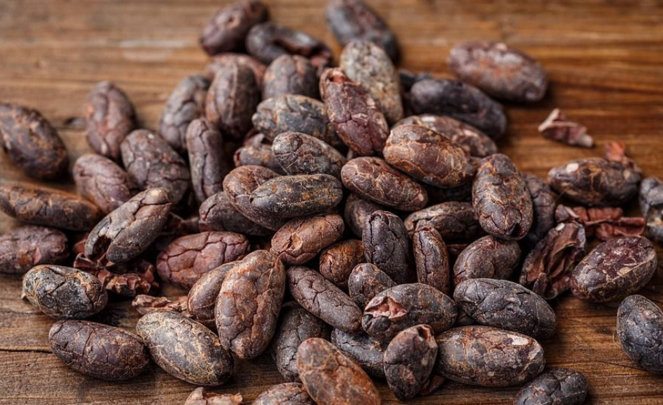 Uno de los mejores cacaos del mundo muestra su potencial en Nicaragua