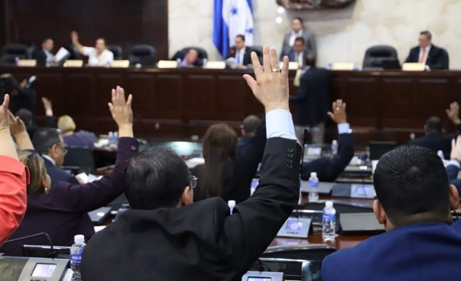 Bajar el salario a los diputados es un “show mediático”, dice congresista de Libre