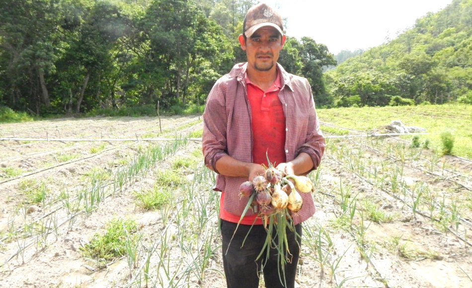 Finaliza proyecto de UE que benefició a más de 15,000 familias hondureñas