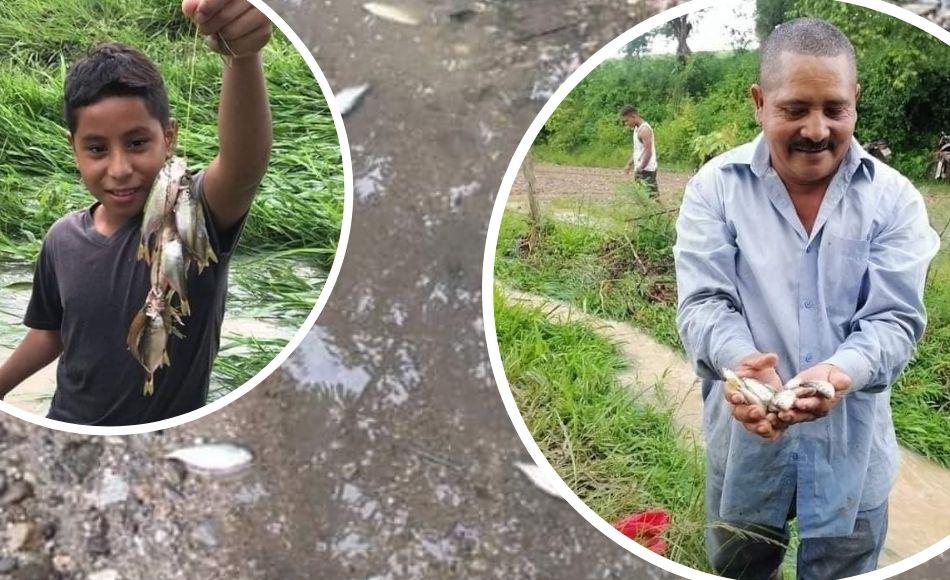 Cae tradicional lluvia de peces en Yoro