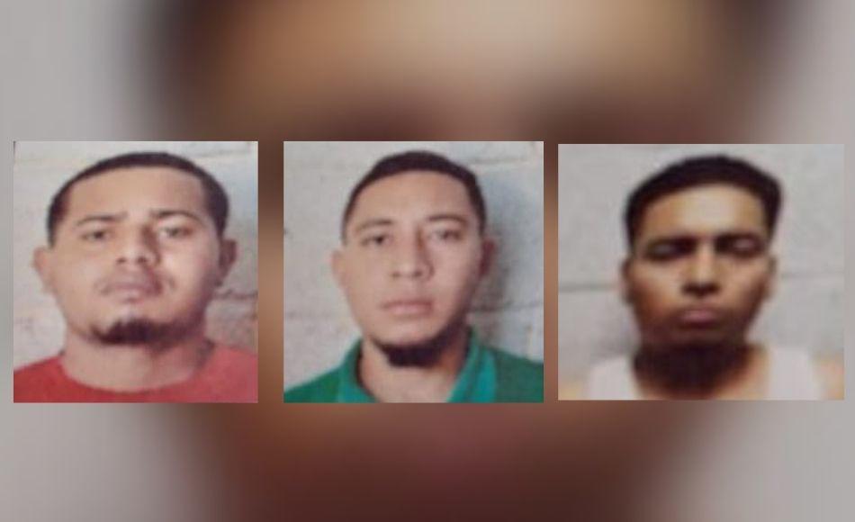 Condenan a 3 supuestos miembros de la MS-13 por tráfico de drogas y porte de AK-47