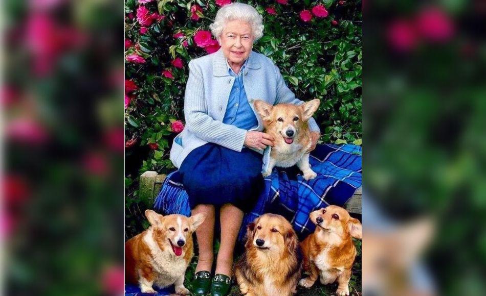 Tienen un nuevo hogar: los perros corgis de la reina Isabel II han sido adoptados