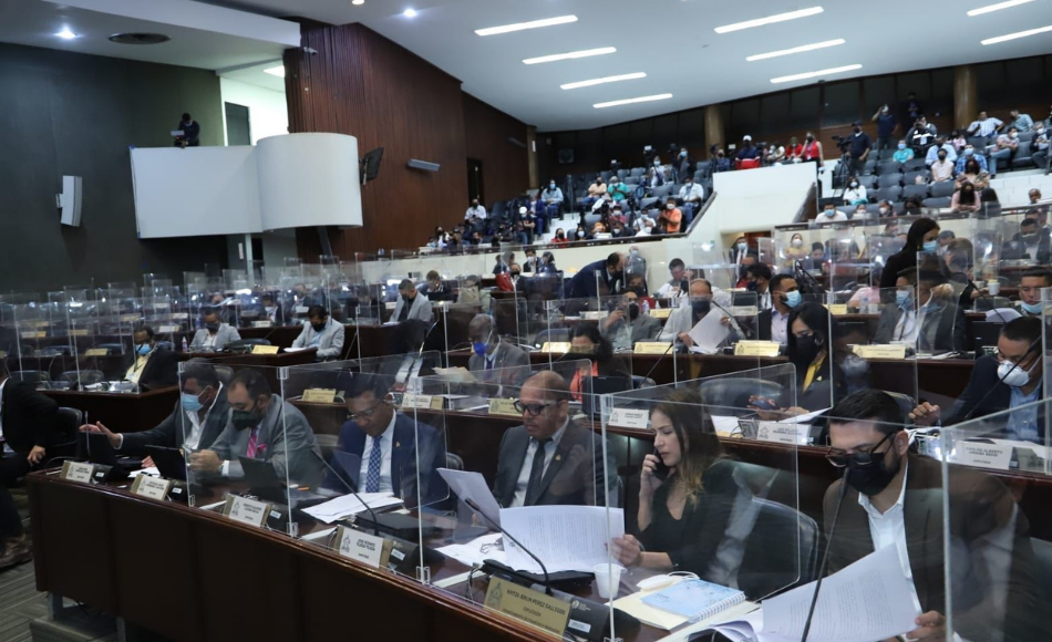 Bancada de Libre anuente a revisión de Ley de Amnistía en el CN