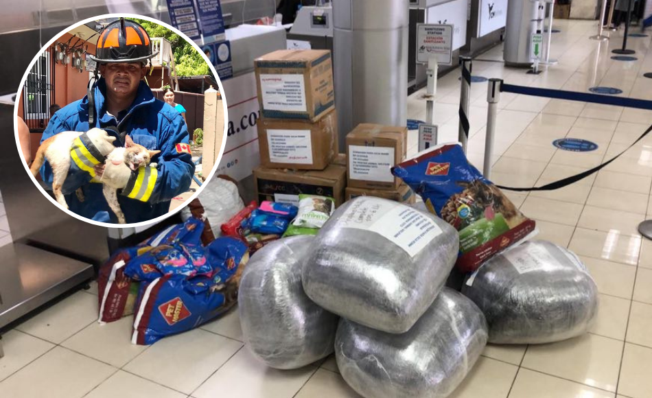 Envían primeras ayudas para animales afectados en Guanaja