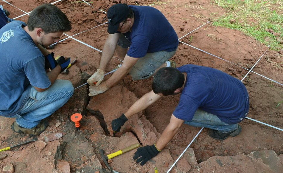 Descubren una nueva especie de dinosaurio “muy raro” en Brasil