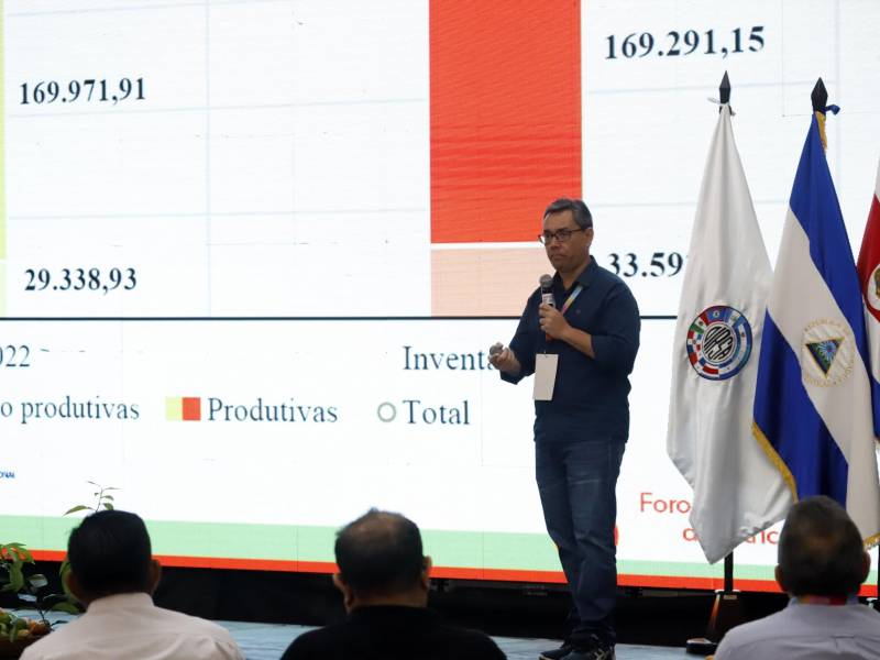 <b>El fitopatologista José Belasque expone sobre la situación del HLB en Brasil. Foto: Franklyn Muñoz.</b>