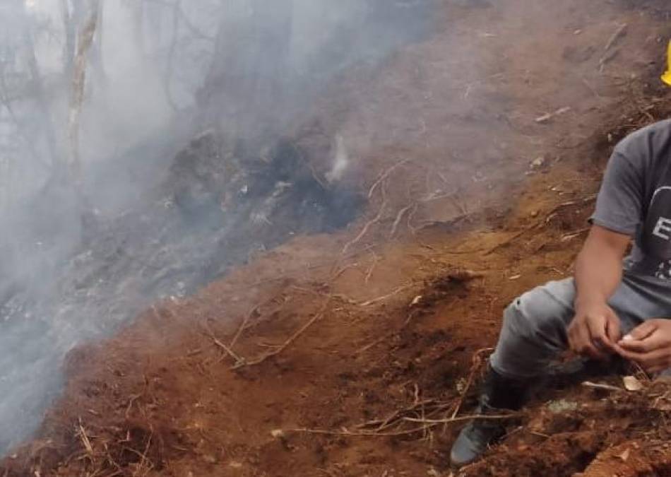 Miembros del Cuerpo de Bomberos están en la zona para sofocar el incendio. 