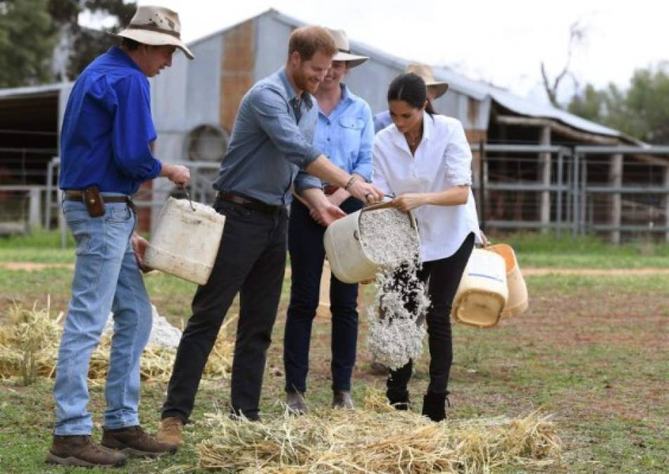 Los duques con gusto se involucraron en los quehaceres de la granja.