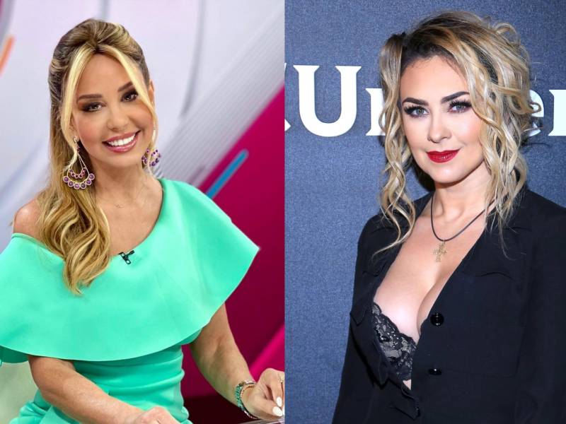 La actriz mexicana Aracely Arámbula arremetió recientemente en contra de su expareja y padre de sus dos hijos, Luis Miguel, al decir ante los medios de comunicación que el artista es un “padre ausente” y también un “deudor alimentario”. Estas declaraciones corrieron como pólvora y se hicieron virales en redes sociales, en donde la mayoría expresó su apoyo a la actriz también conocida como “La Chule”. Sin embargo, la periodista Myrka Dellanos, quien vivió un intenso romance con Luismi hace varios años, decidió dar su opinión al respecto.
