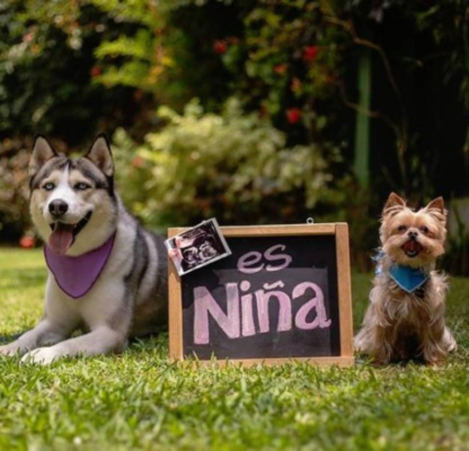 Gabriela tomará su licencia de maternidad para dedicarse al cuidado de su bebé antes de asumir sus compromisos al lado del nuevo mandatario.