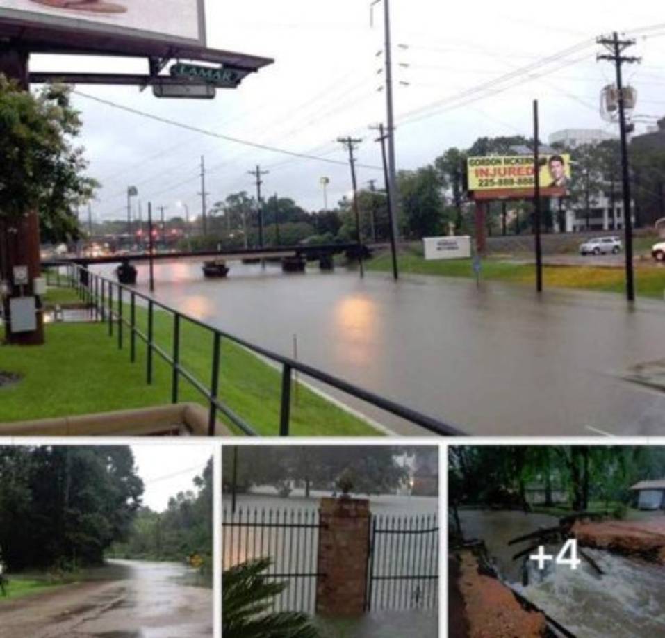 Las fuertes lluvias que han afectado el estado de Luisiana provocaron graves inundaciones que han dejado cientos de personas damnificadas y un muerto, según informaron medios locales este viernes. Elementos de la Guardia Nacional fueron desplegados en las comunidades afectadas, logrando rescatar, hasta el momento, a unas 75 personas de casas inundadas. También en Centreville, Mississippi, se han reportado rescates, de acuerdo con el Servicio Meteorológico Nacional. Numerosas escuelas han sido cerradas en el área de Baton Rouge, incluso la Universidad del Estatal de Louisiana, debido a la constante caída de lluvia desde la noche del jueves.