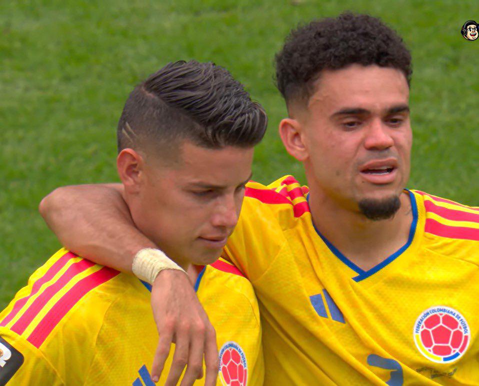 Colombia devastada, Barton presente, llanto de James y Luis Díaz tras eliminación