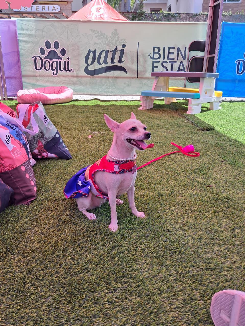 Angel Fest: un espacio fitness para compartir con la familia y mascotas