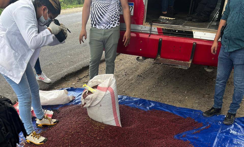 La Policía ahora investiga si hay más personas involucradas con el tráfico de esta droga.