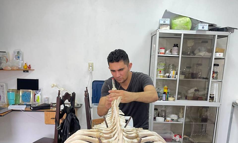 Pese a ser un estudiante intermitente, que cursa su quinto año de medicina, el joven no ha desmayado, ha seguido trabajado en su ferretería, también ha sido asistente voluntario de algunos doctores para aprender de ellos y ha continuado investigando.