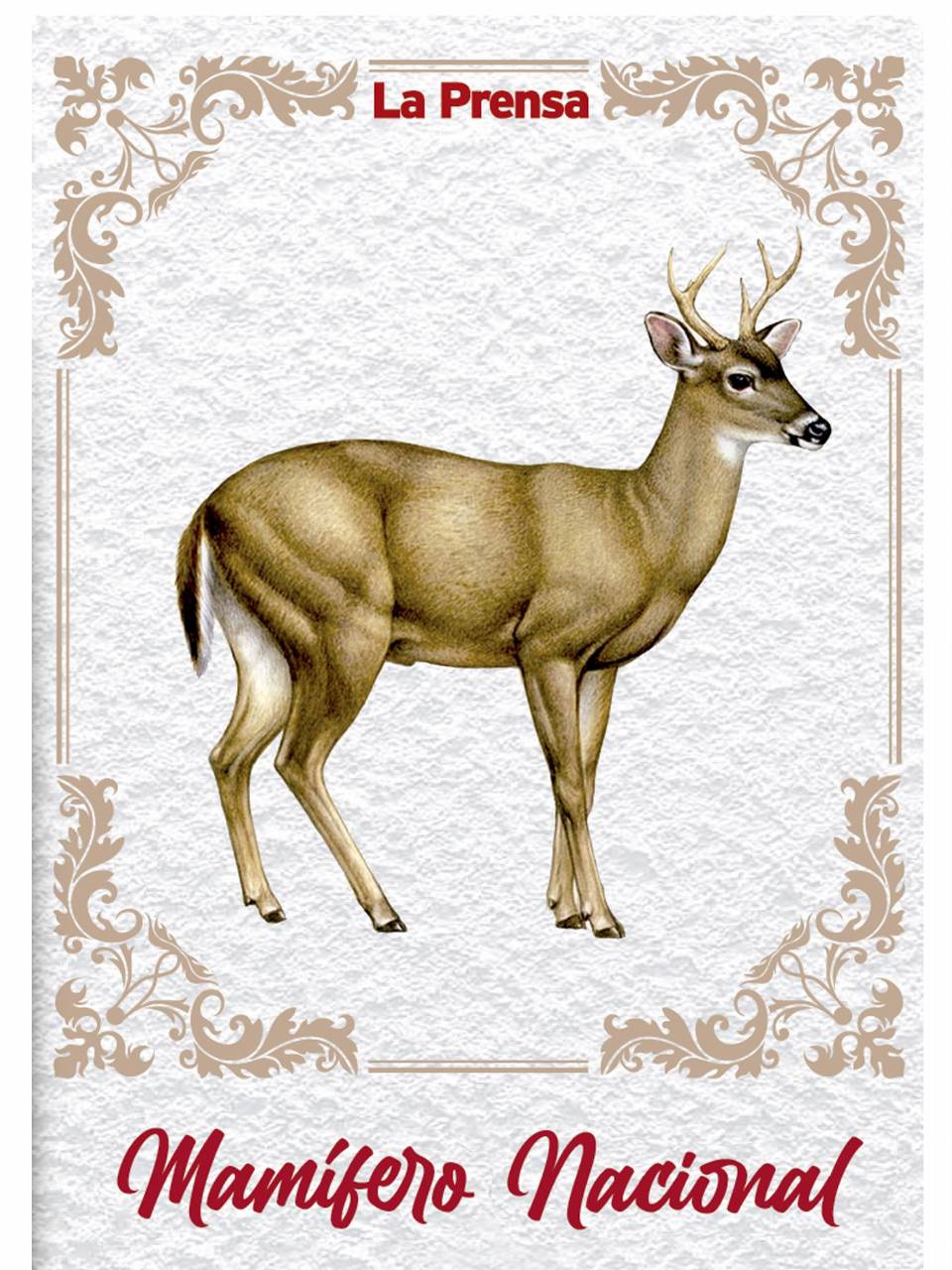 Mamífero Nacional