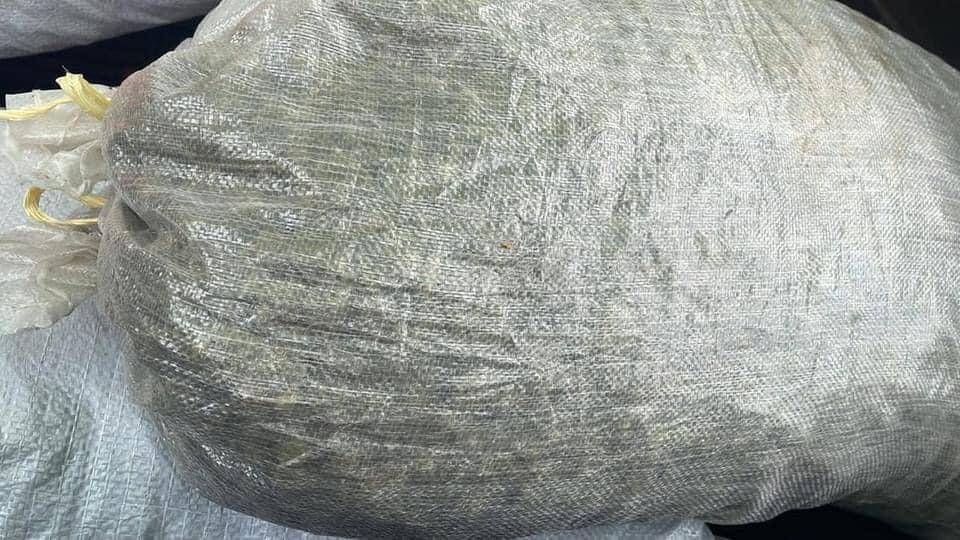 En el lugar encontraron varios sacos de supuesta marihuana que había sido procesada.