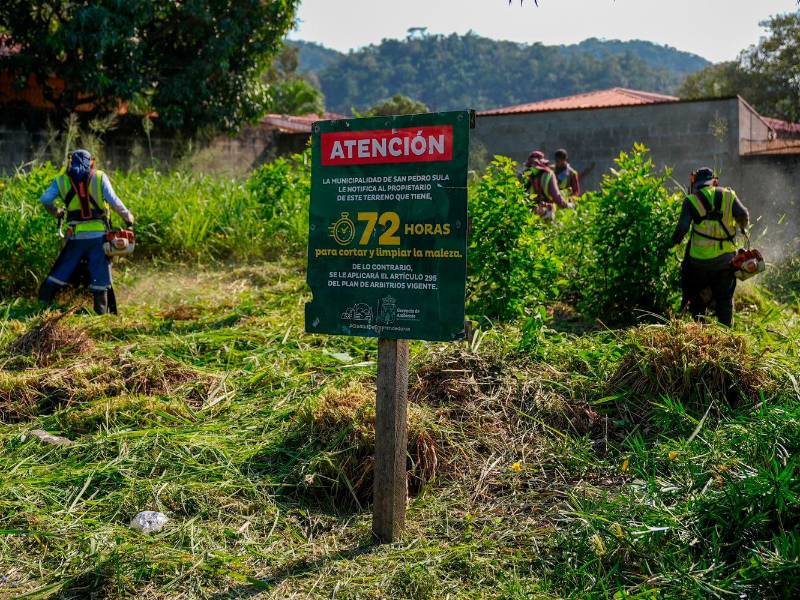 <b><span class=mln_uppercase_mln>LLAMADO.</span></b> Alcaldía ha colocado rótulos, pero han desobedecido.