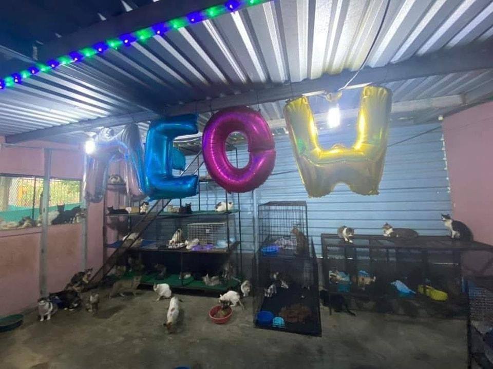 Refugio “Amor y Abrigo” anuncia que podría cerrar