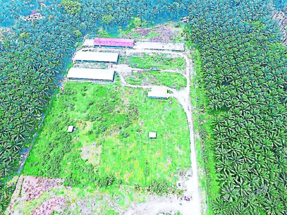 Campesinos han evitado que los desalojen de las tierras en poder de la Oabi en el Bajo Aguán, mientras piden celeridad para la aprobación de la ley que les adjudique propiedades para ser cultivadas.