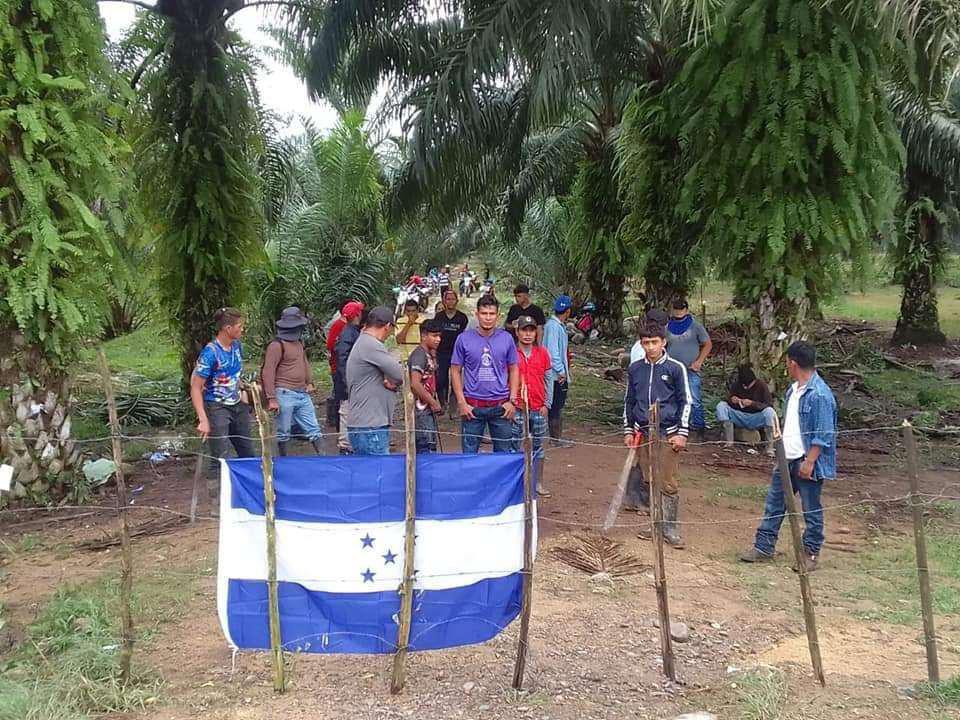 Gobierno fracasó en parar invasiones en el bajo Aguán
