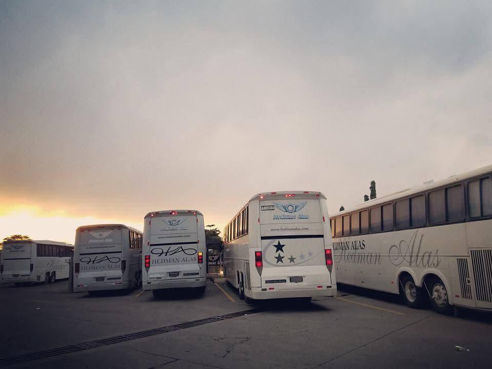 La verdadera razón del cierre de Hedman Alas