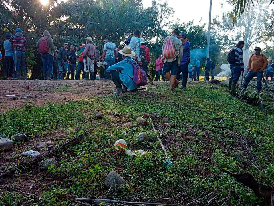 Productores denuncian que bandas asaltan fincas del Aguán y venden fruta