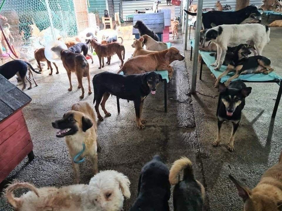 Refugio “Amor y Abrigo” anuncia que podría cerrar