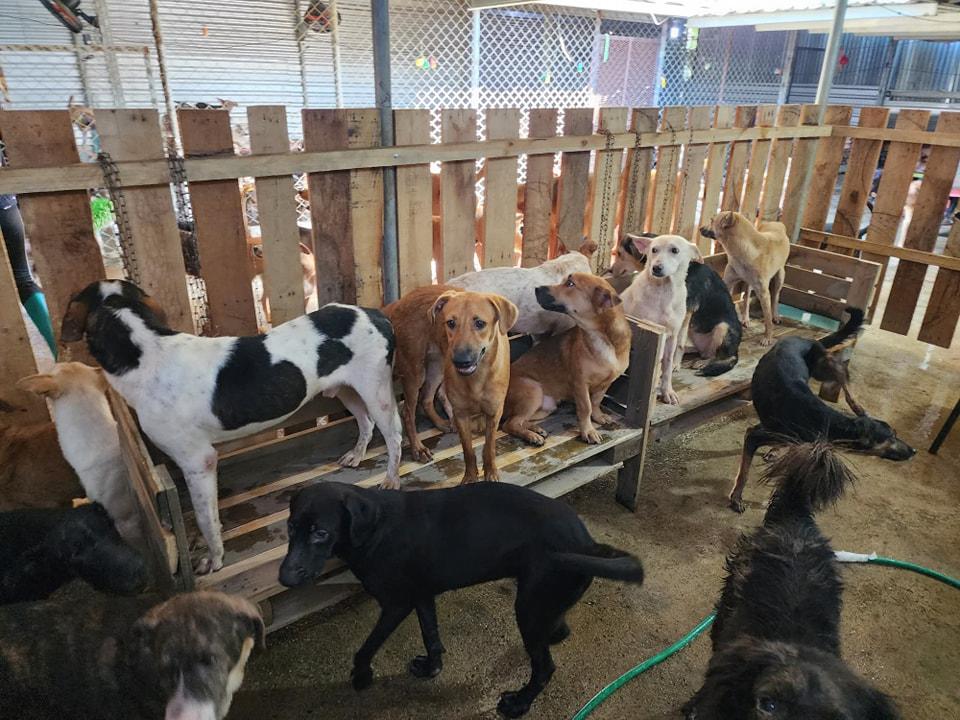 Refugio “Amor y Abrigo” anuncia que podría cerrar