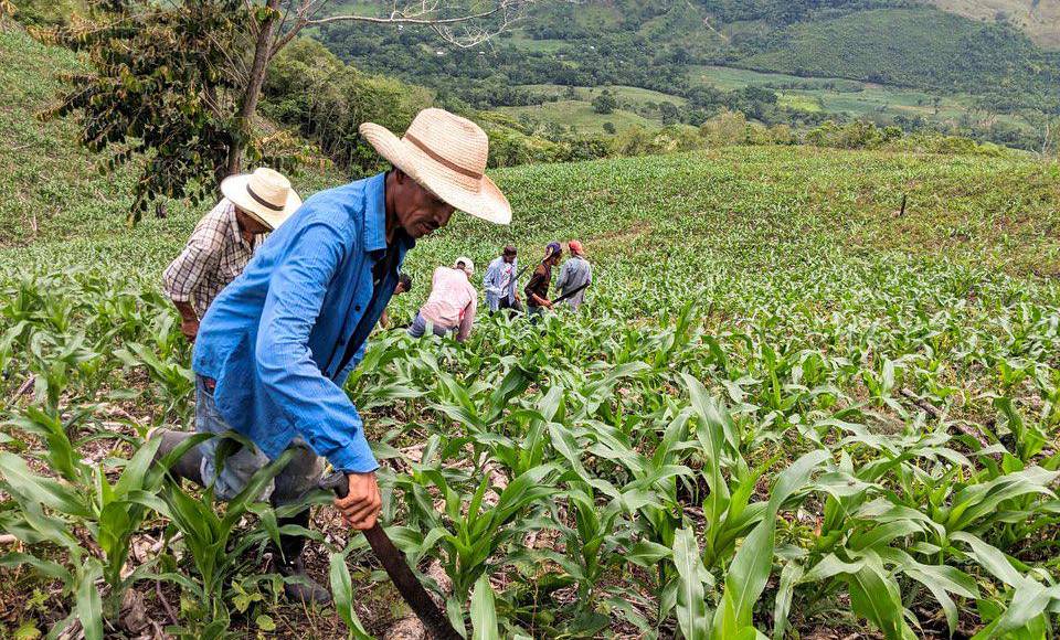 El entonces joven demostró tener facilidad de aprendizaje, logrando obtener su certificado de sexto grado en poco tiempo a través del programa Pralebah. Su ingenio y espíritu de liderazgo lo llevaron a convertirse en presidente del patronato de su aldea hace más de cinco años.