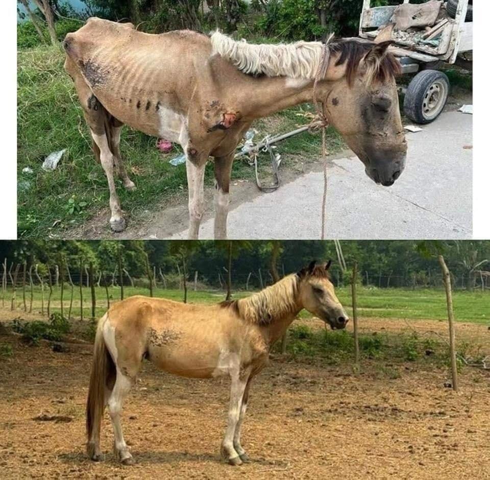 Refugio “Amor y Abrigo” anuncia que podría cerrar