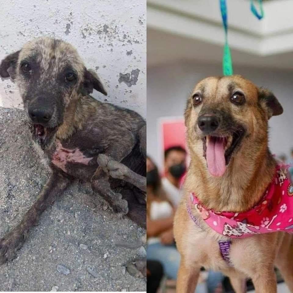 Refugio “Amor y Abrigo” anuncia que podría cerrar