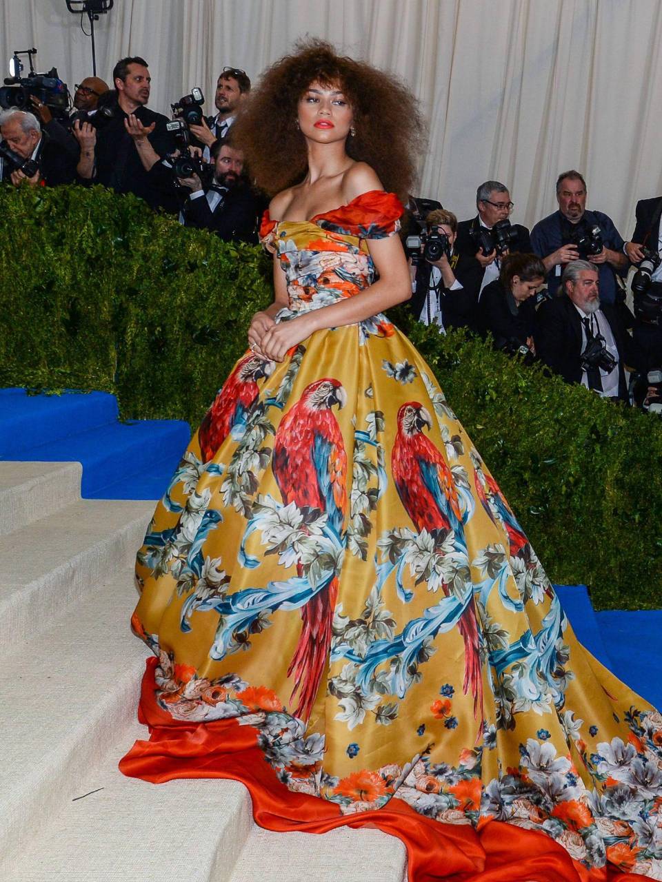2017 - “Rei Kawakubo/Comme des Garçons: Art of the In-Between”: Zendaya desfiló en la alfombra roja con un colorido vestido de gala con estampado de loros de Dolce &amp; Gabbana Alta Moda.