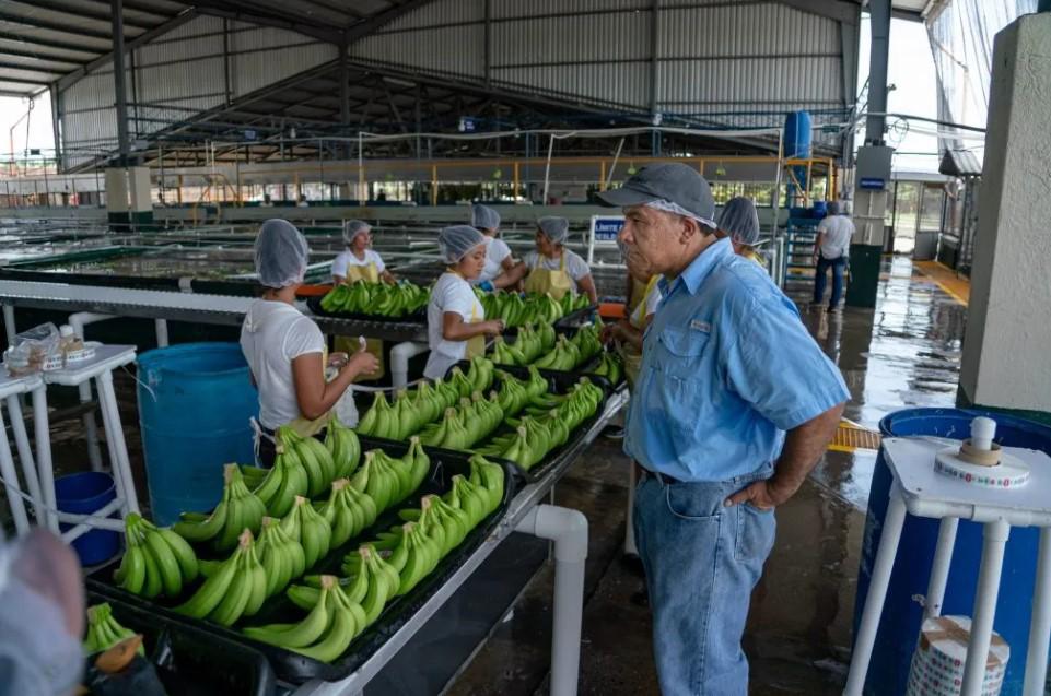 Hugo Molina Botrán propone la economía circular como el modelo de agricultura que debe realizarse en Latinoamérica
