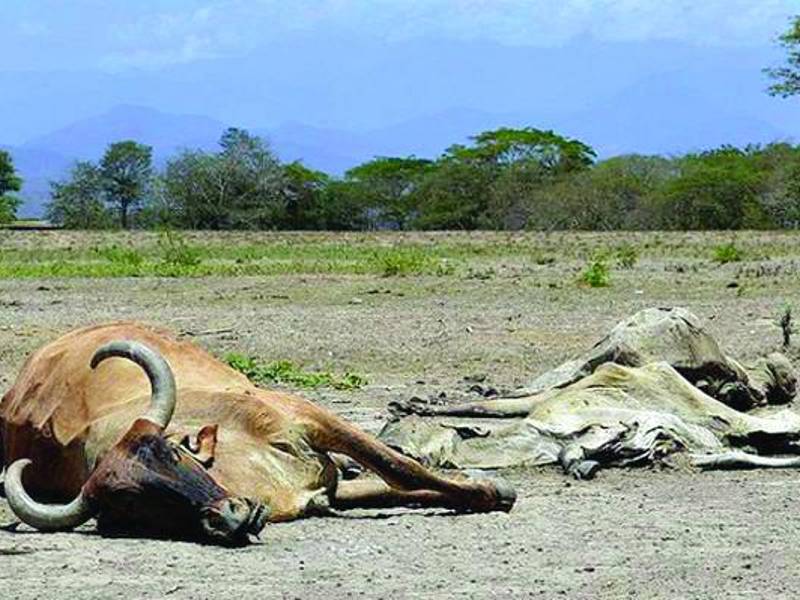 Los 10 temas de impacto en Honduras